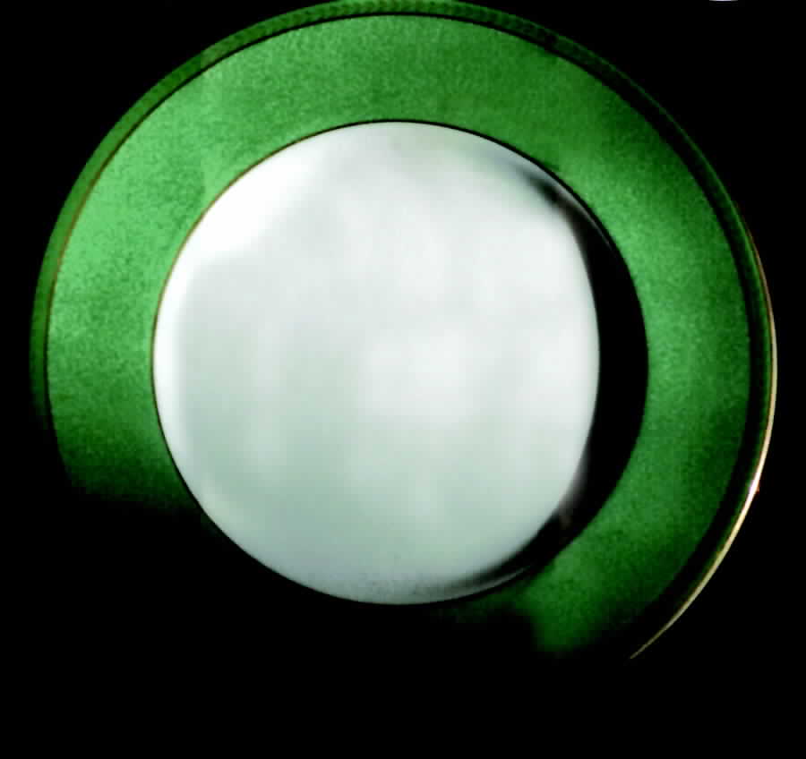 26453 Dinner Plate by George Jones & Sons-1