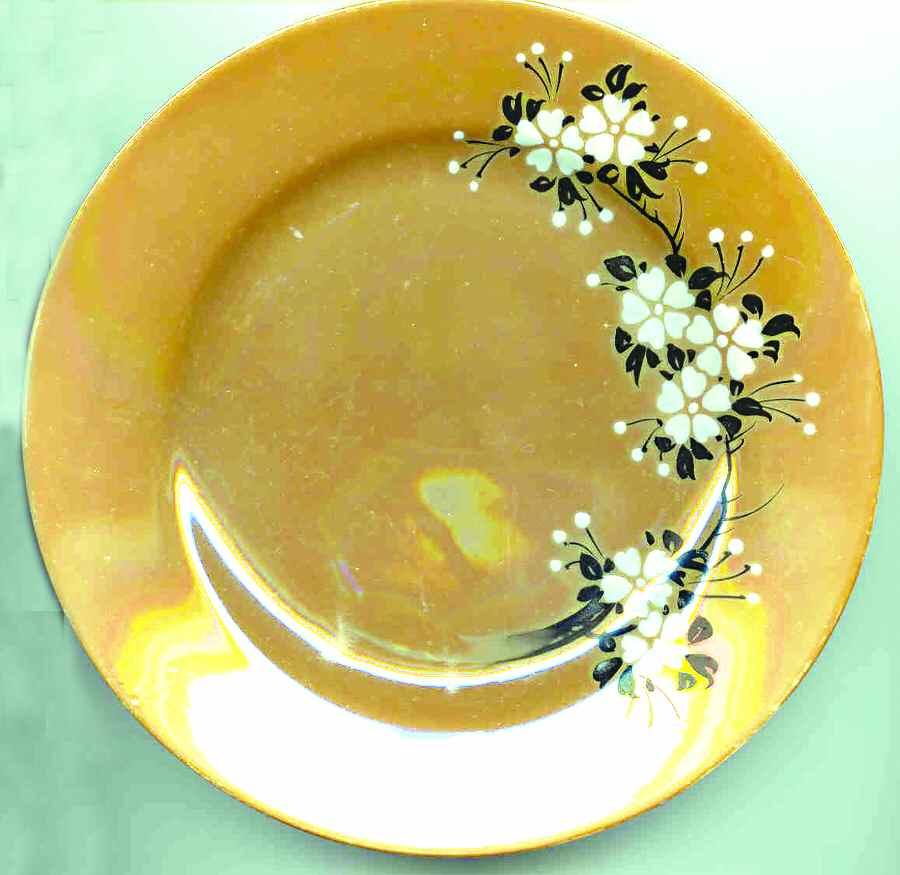 PAQ6 Salad Plate by Paulownia-1
