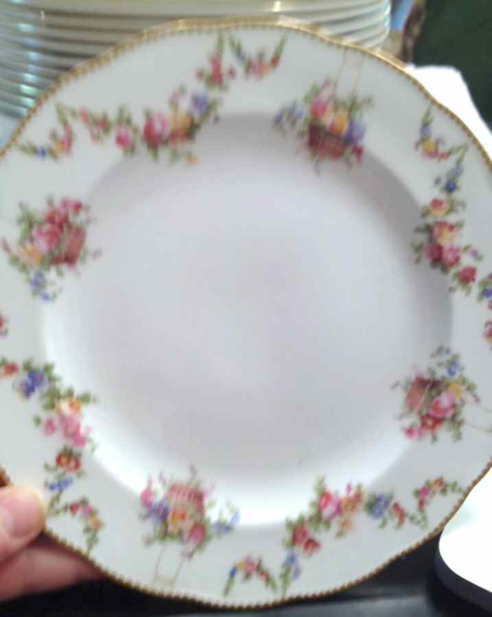 19853 Dinner Plate by George Jones & Sons-1
