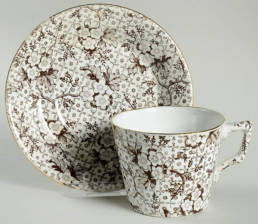 Hawthorn Chintz Flat Cup & Saucer Set by John Moses & Company-1