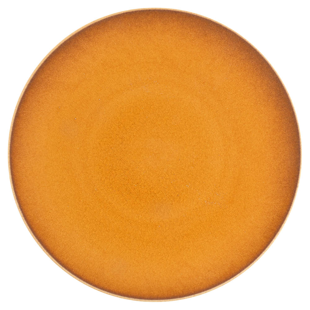 Tourron Amber Dinner Plate by Jars-France-1