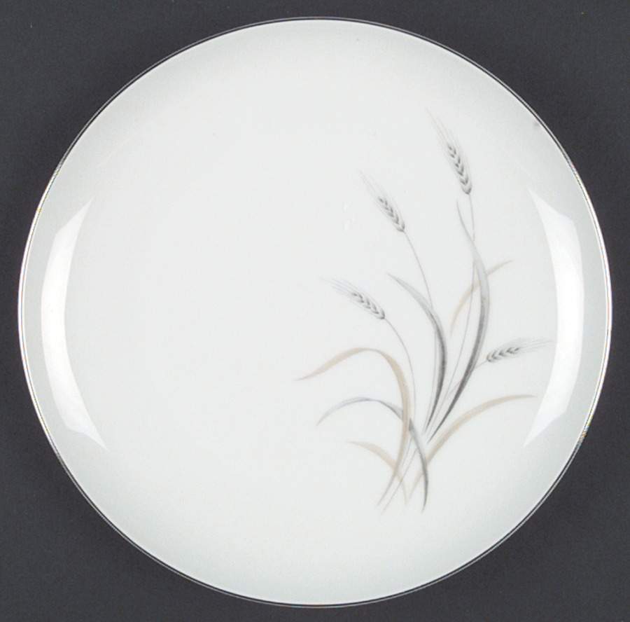 Silver Rhythm Dinner Plate by Kaysons Import Company-1