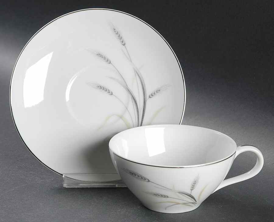 Silver Rhythm Flat Cup & Saucer Set by Kaysons Import Company-1