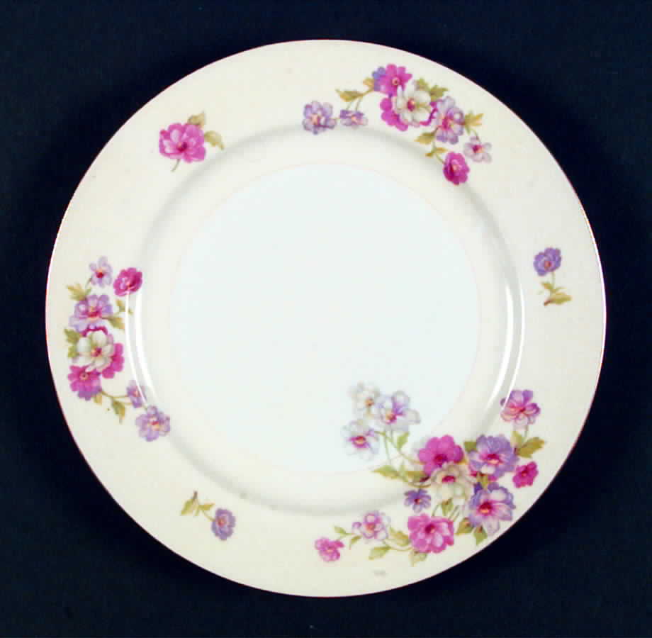 KIK21 Dinner Plate by Kikusui-1