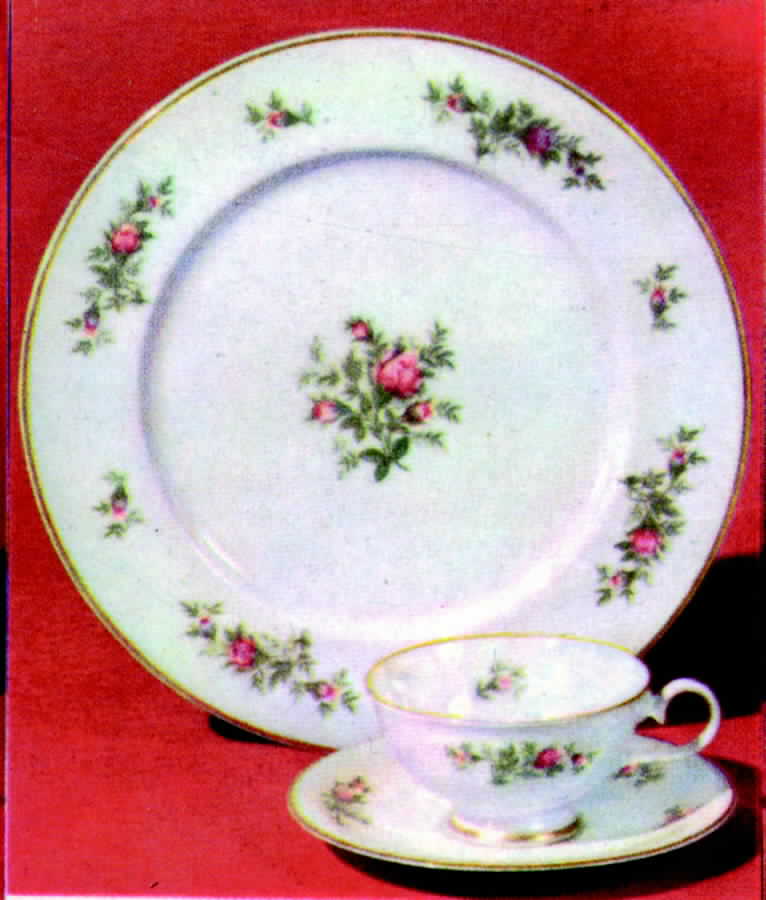 Travose Dinner Plate by Kirk-1