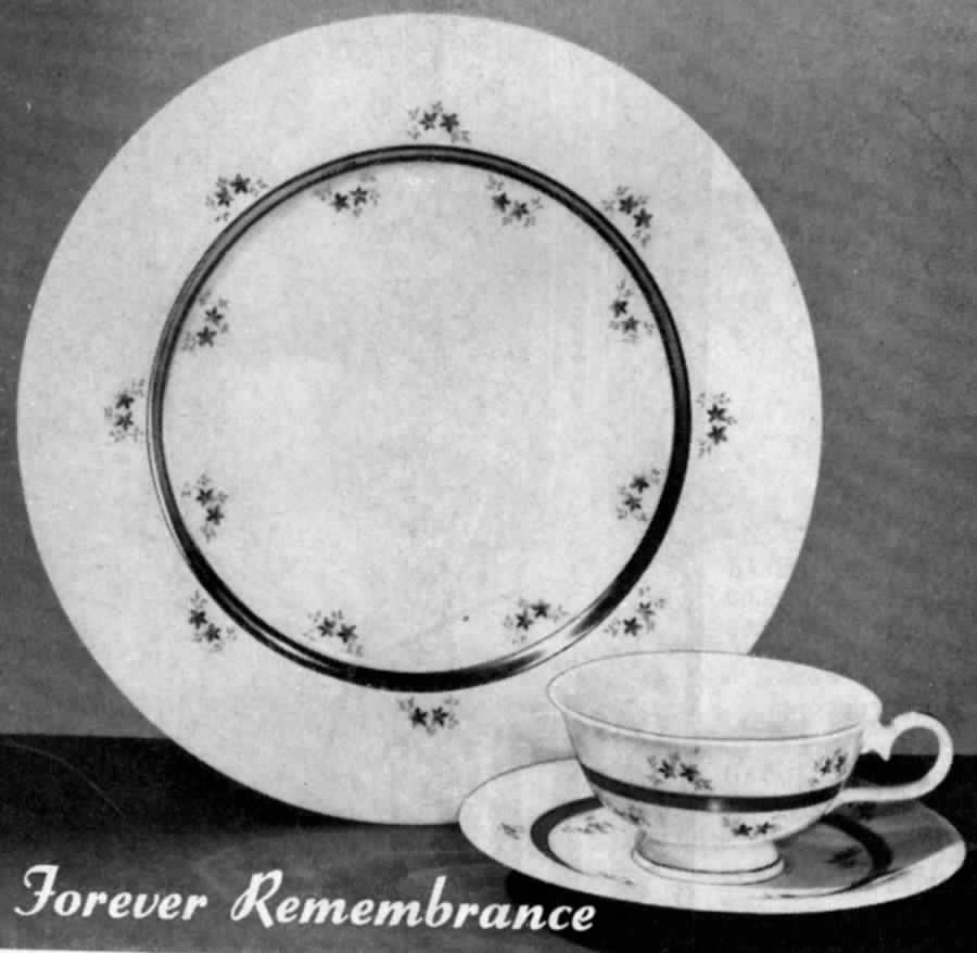 Forever Remembrance Dinner Plate by Kirk-1