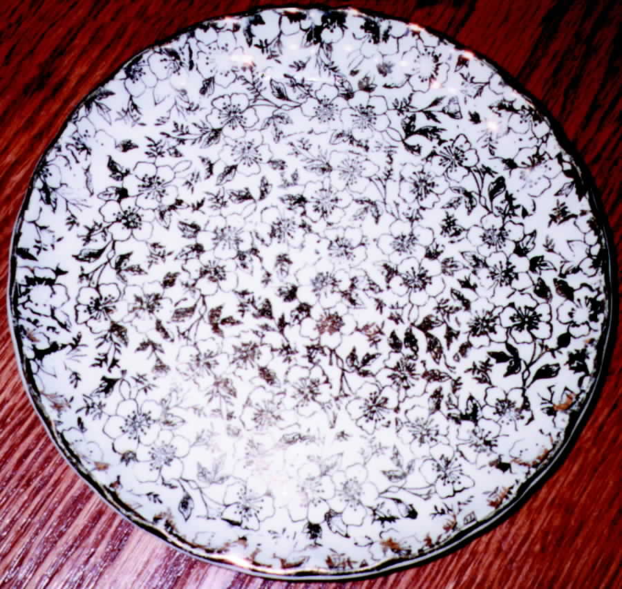 KCH1 Dinner Plate by Karol-1