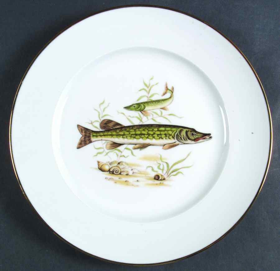 JKW75 RIM Dinner Plate by JKW Bavaria-1