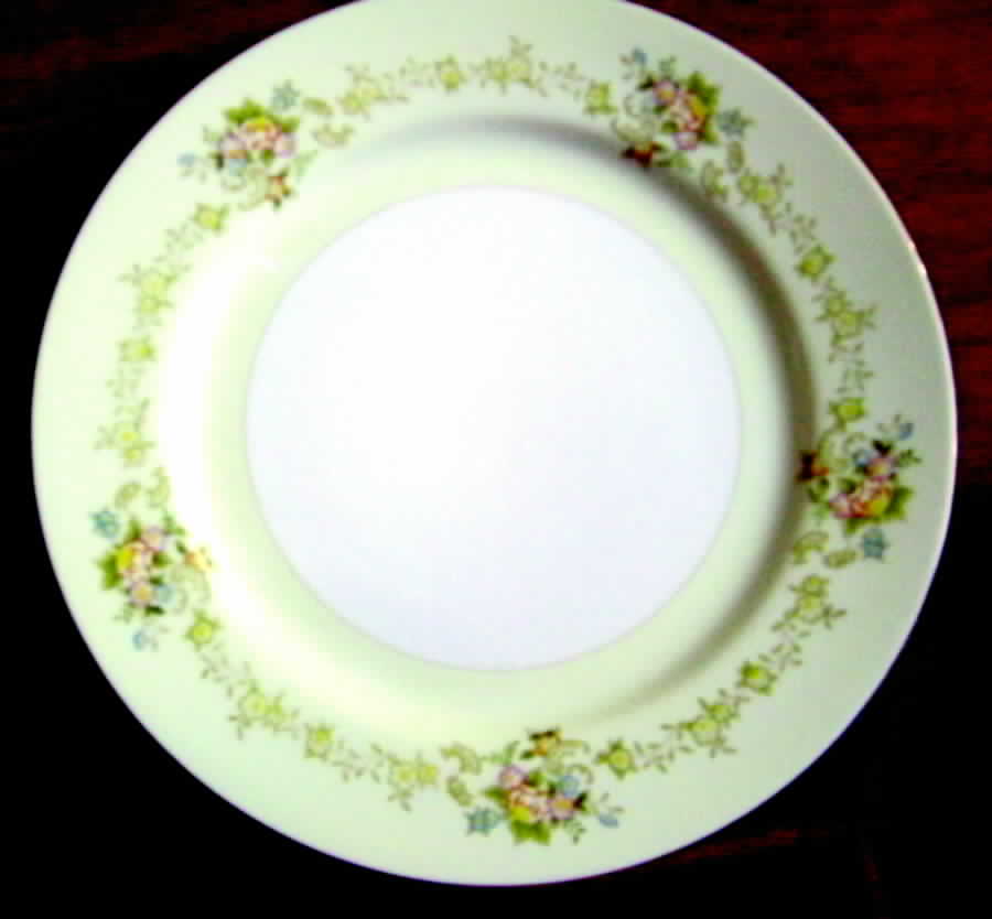 KRE18 Dinner Plate by Krescent (Japan)-1