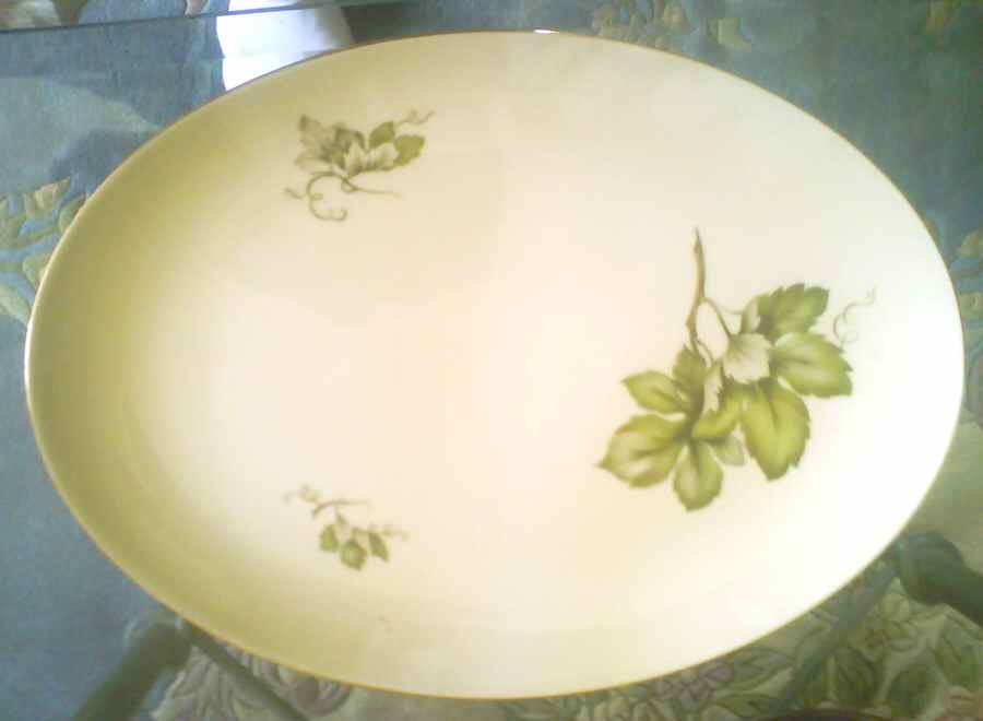 4577 Dinner Plate by Kaiser-1