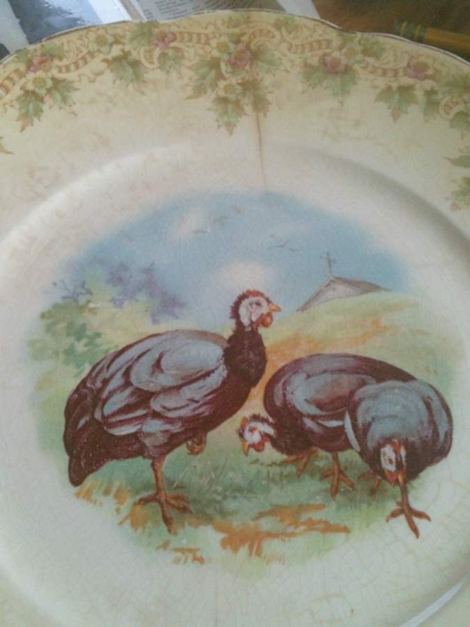 KTK195 Dinner Plate by Knowles, Taylor & Knowles-1