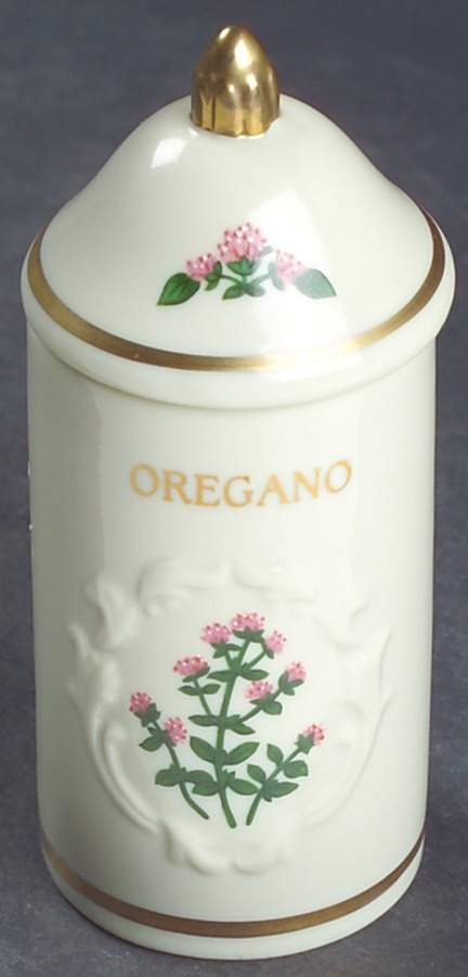 Spice Garden (Giftware) Spice Jar Set Individual Jar & Lid by Lenox-1