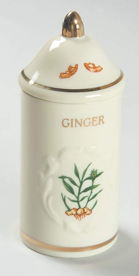 Spice Garden (Giftware) Spice Jar Set Individual Jar & Lid by Lenox-1
