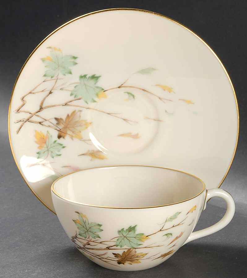 Westwind Flat Cup & Saucer Set by Lenox-1