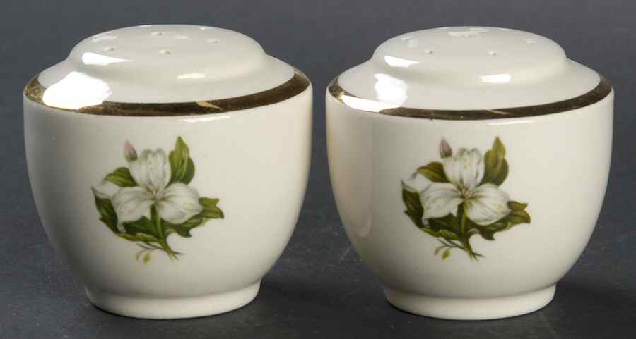 Trillium White (Glamour, Coupe) Salt & Pepper Set by Limoges-American-1