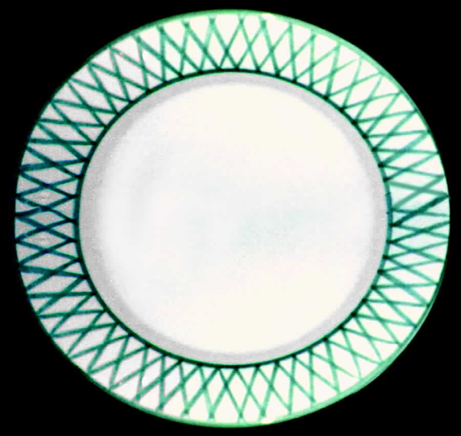 Fiori (Italy) Salad Plate by Lucca Art-1