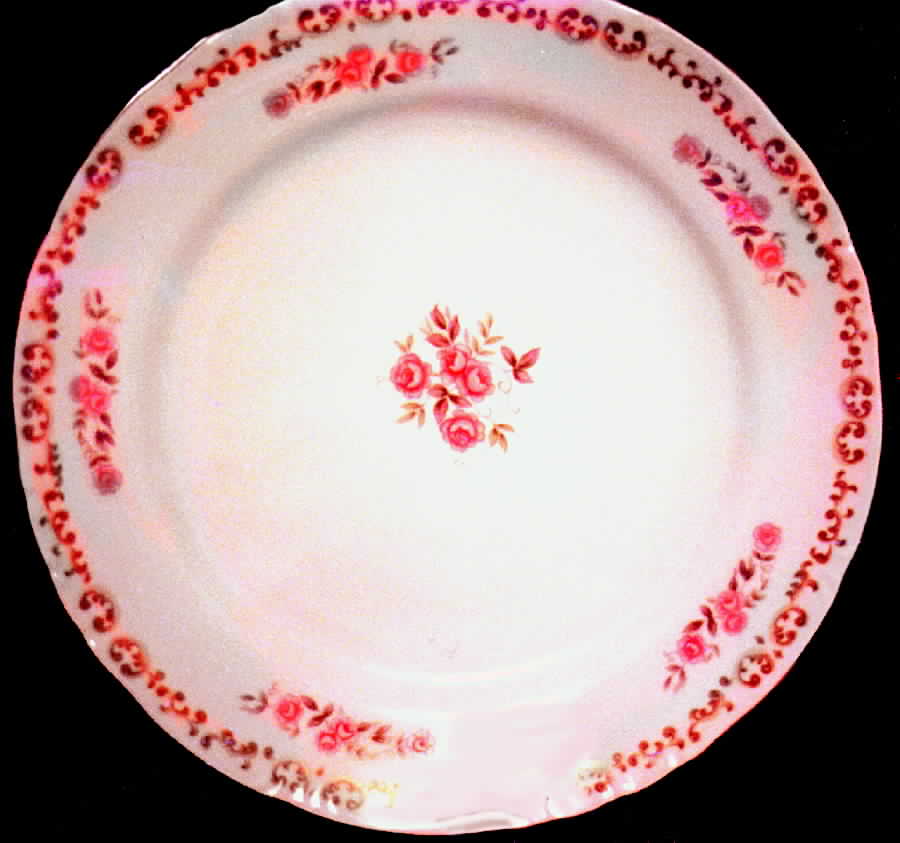 LUC1 Dinner Plate by Leuco (Japan)-1