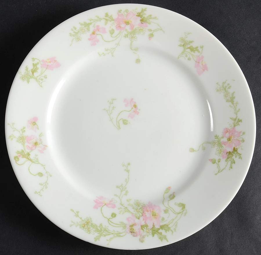 LIO1 Salad Plate by Limoges Florale-1