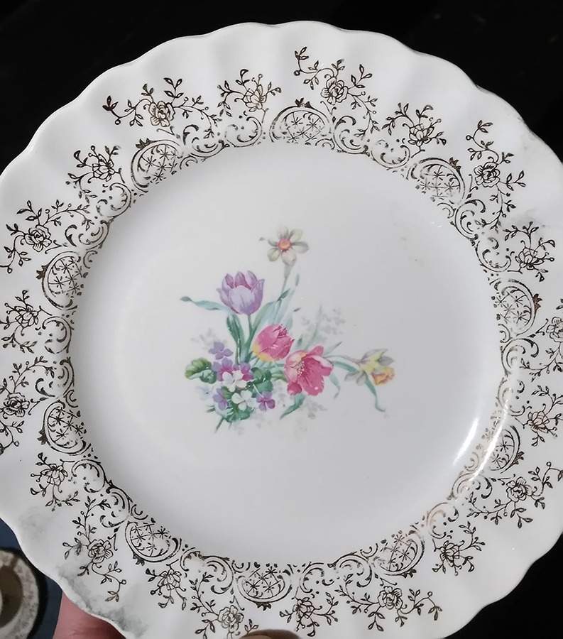 Caroline Dinner Plate by Limoges-American-1