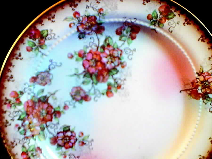 LEC5 Dinner Plate by Lecot-1