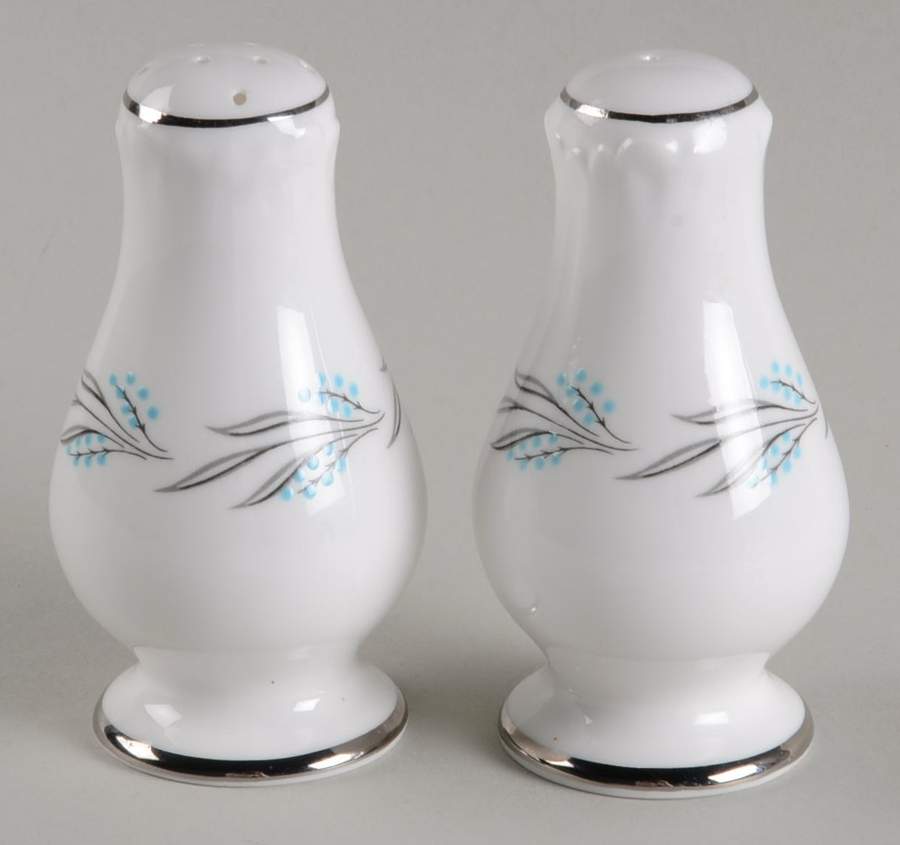 Grey Mist Salt & Pepper Set by Lichfield-1