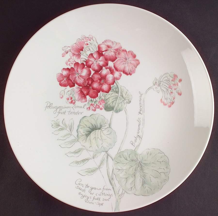 Artist Sketchbook Dinner Plate by Lenox-1