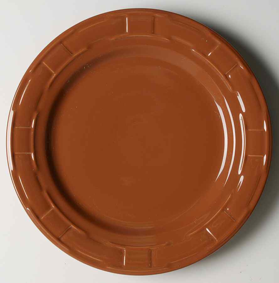 Woven Traditions Spice Dinner Plate by Longaberger-1