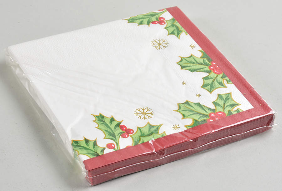 Treasured Traditions Package of Paper Luncheon Napkins by Lenox-1