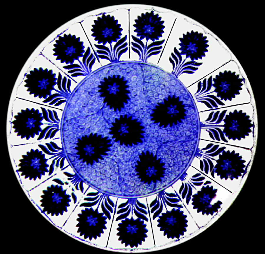 China Aster Dinner Plate by Minton-1