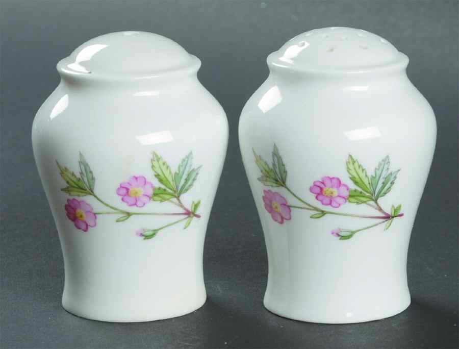 Meadow Scalloped Salt & Pepper Set by Minton-1