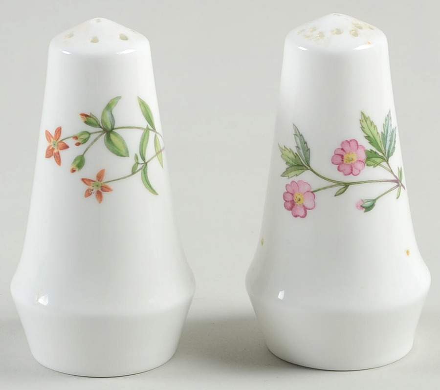 Meadow Smooth Salt & Pepper Set by Minton-1