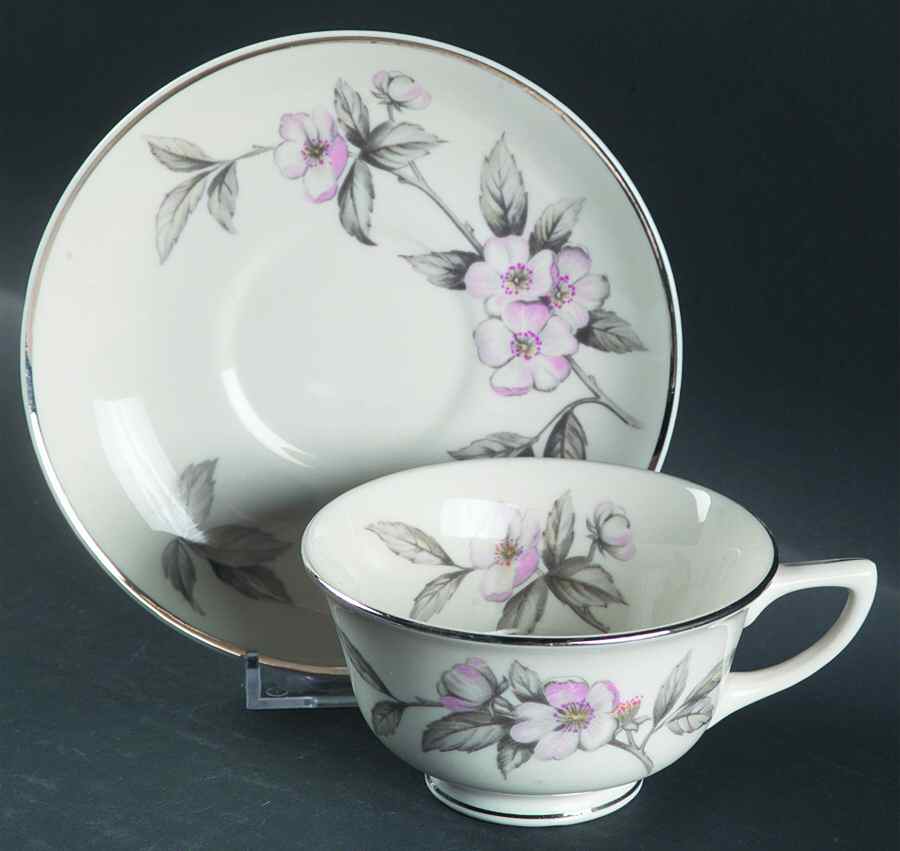 Spring Glory (Platinum) Footed Cup & Saucer Set by Manor House (USA)-1