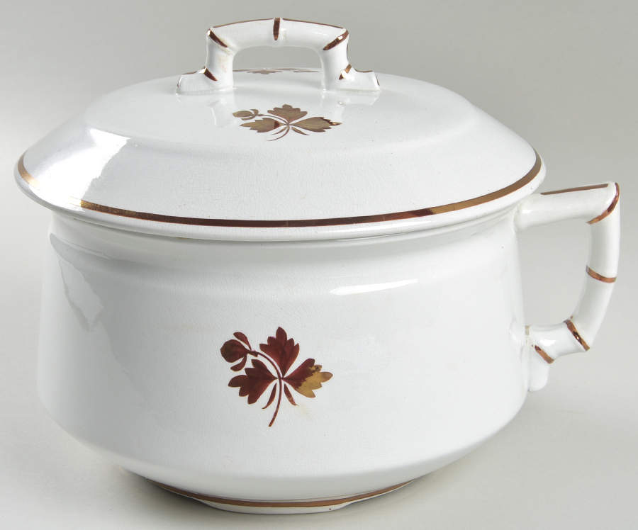 Tea Leaf Chamber Pot & Lid by Alfred Meakin-1
