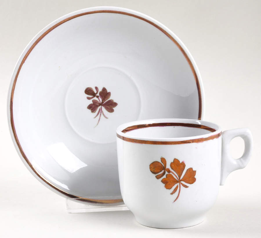Tea Leaf Flat Cup & Saucer Set by Alfred Meakin-1