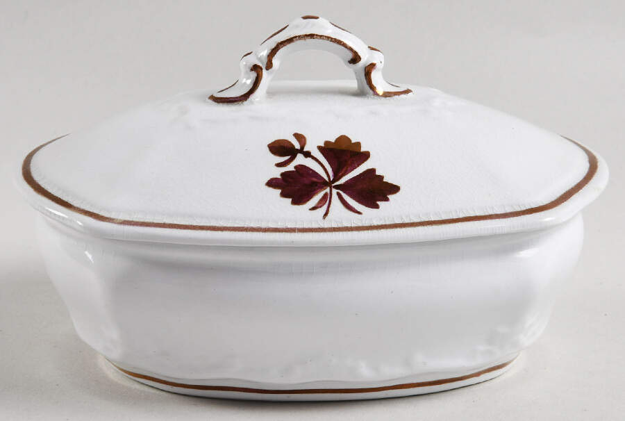 Tea Leaf Oval Soap Box with Lid and Strainer by Alfred Meakin-1