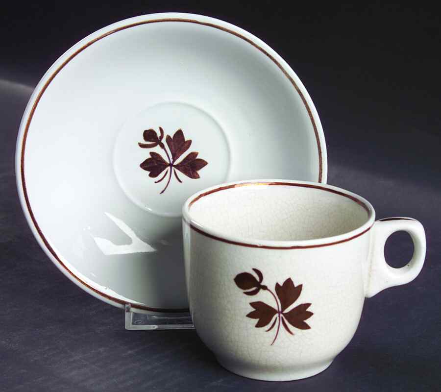 Tea Leaf Flat Cup & Saucer Set by Alfred Meakin-1