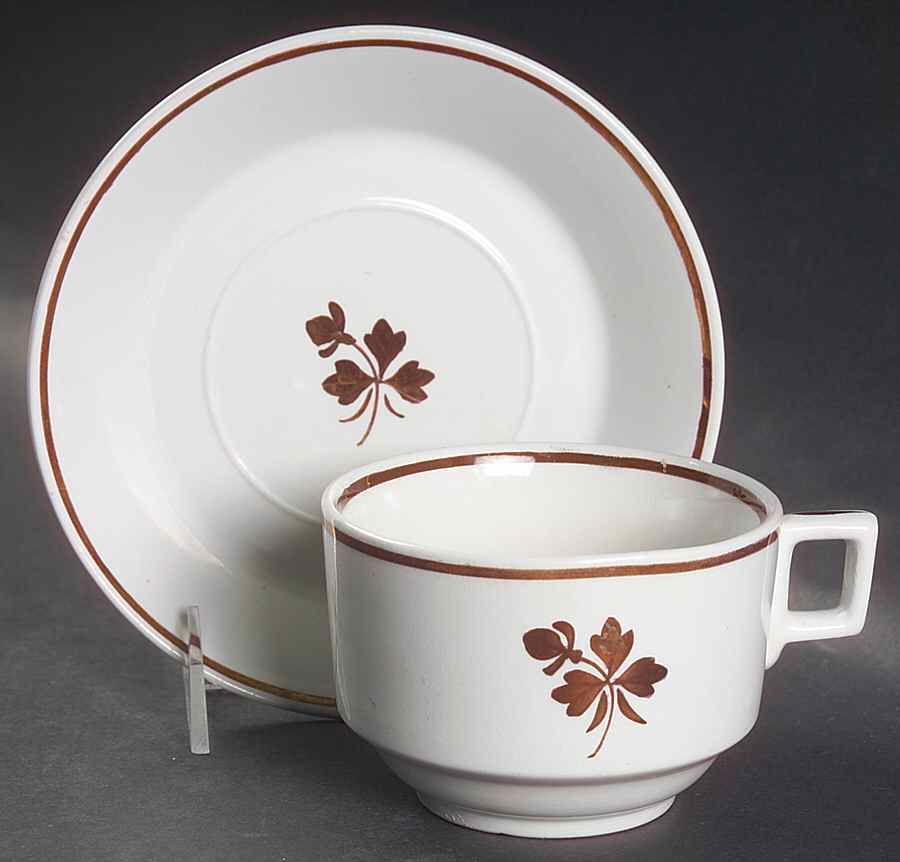 Tea Leaf Flat Cup & Saucer Set by Alfred Meakin-1