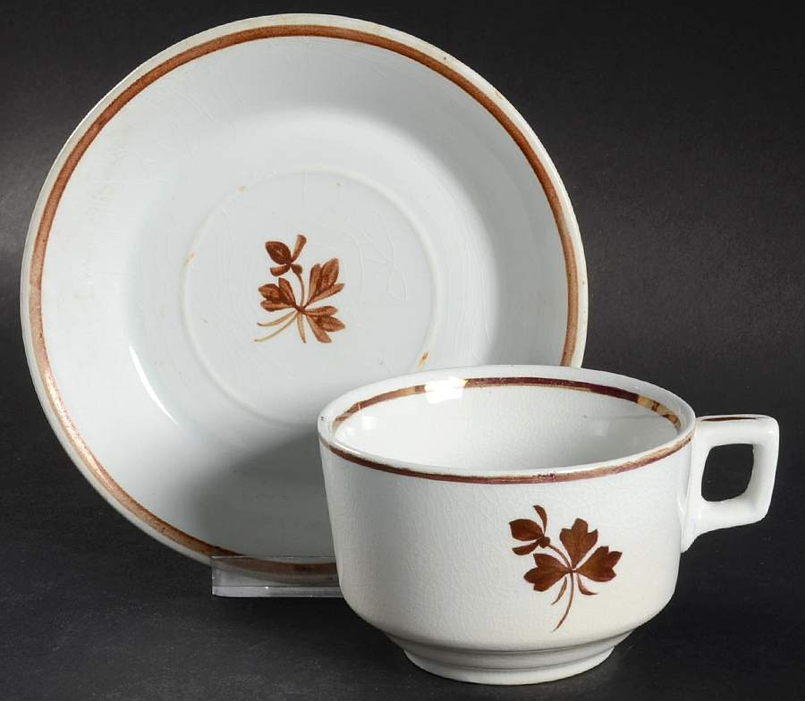 Tea Leaf Flat Cup & Saucer Set by Alfred Meakin-1