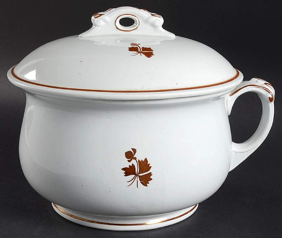 Tea Leaf Chamber Pot & Lid by Alfred Meakin-1