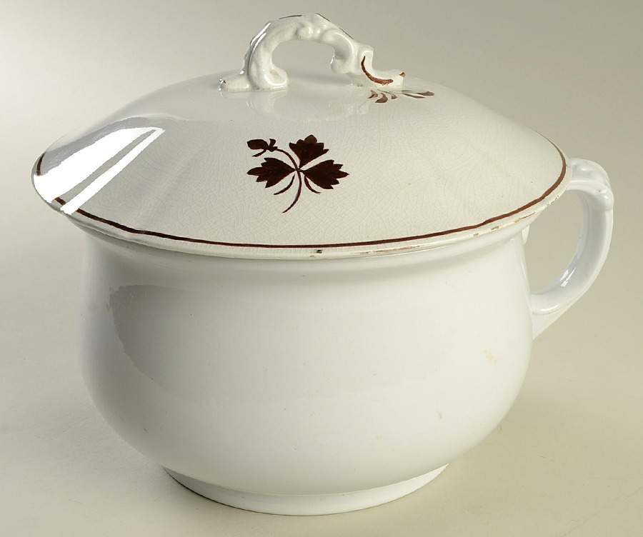 Tea Leaf Chamber Pot & Lid by Alfred Meakin-1