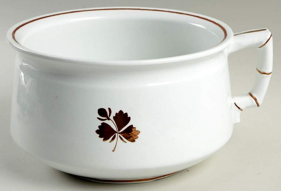 Tea Leaf Chamber Pot No Lid by Alfred Meakin-1