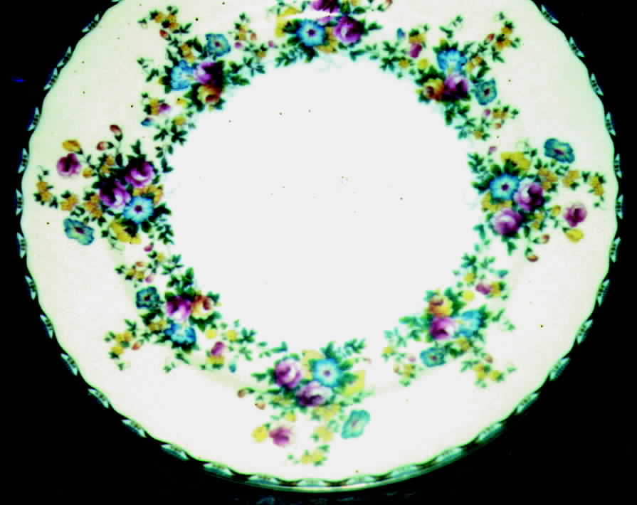 MEI4 Dinner Plate by Meito-1