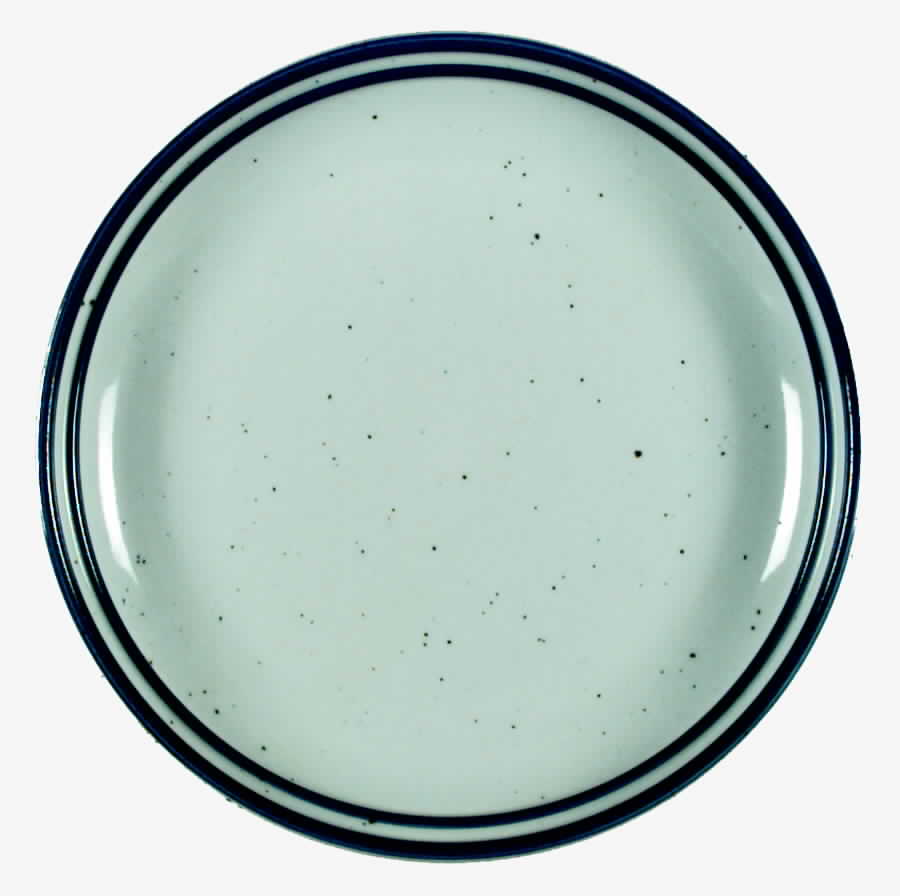 Basic Blue Dinner Plate by Mikasa-1