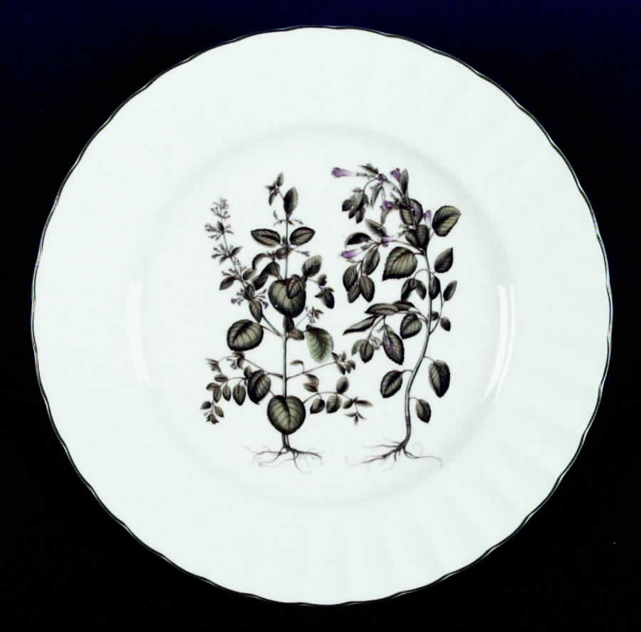 Botany Dinner Plate by Mikasa-1