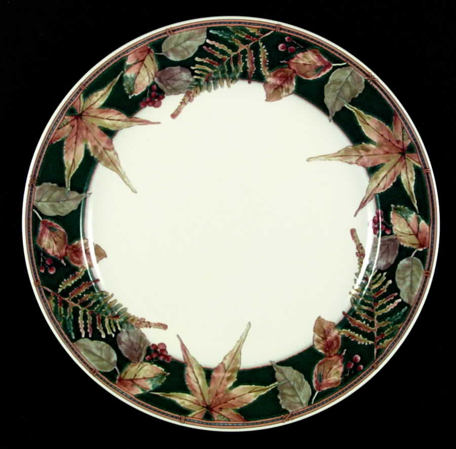 Ecology Dinner Plate by Mikasa-1