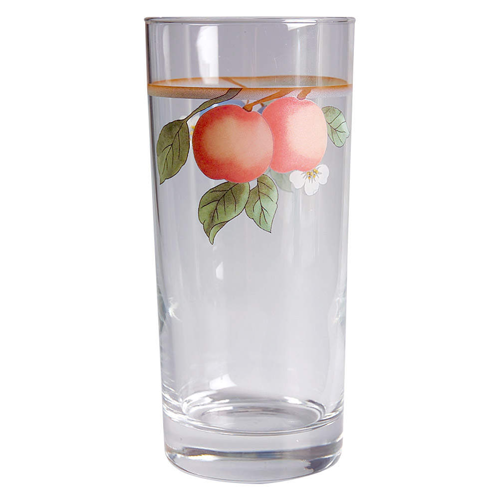 Fruit Panorama Glassware Tall Tumbler by Mikasa-1