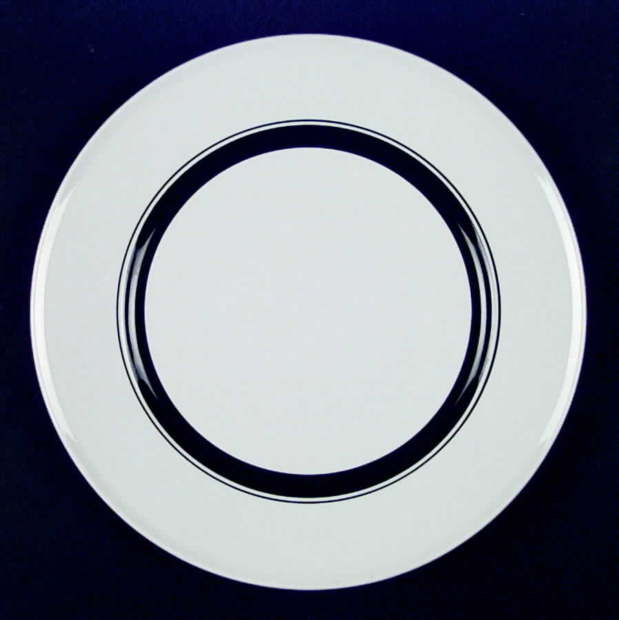 Jet Set Dinner Plate by Mikasa-1