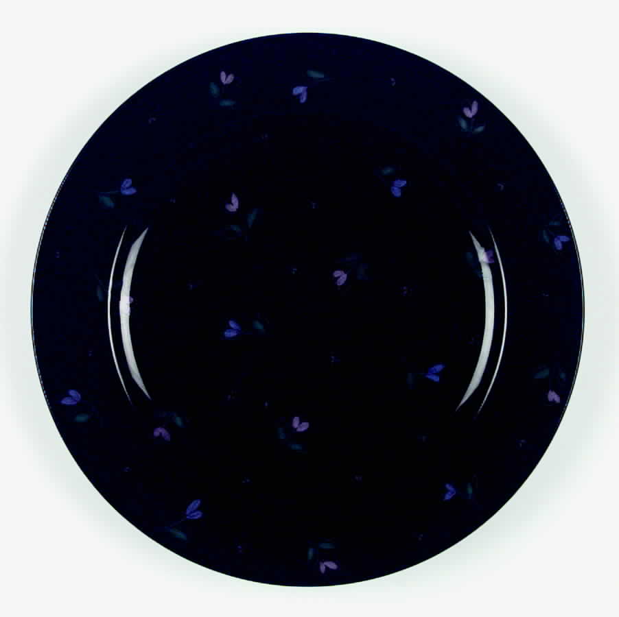 Joy Dinner Plate by Mikasa-1