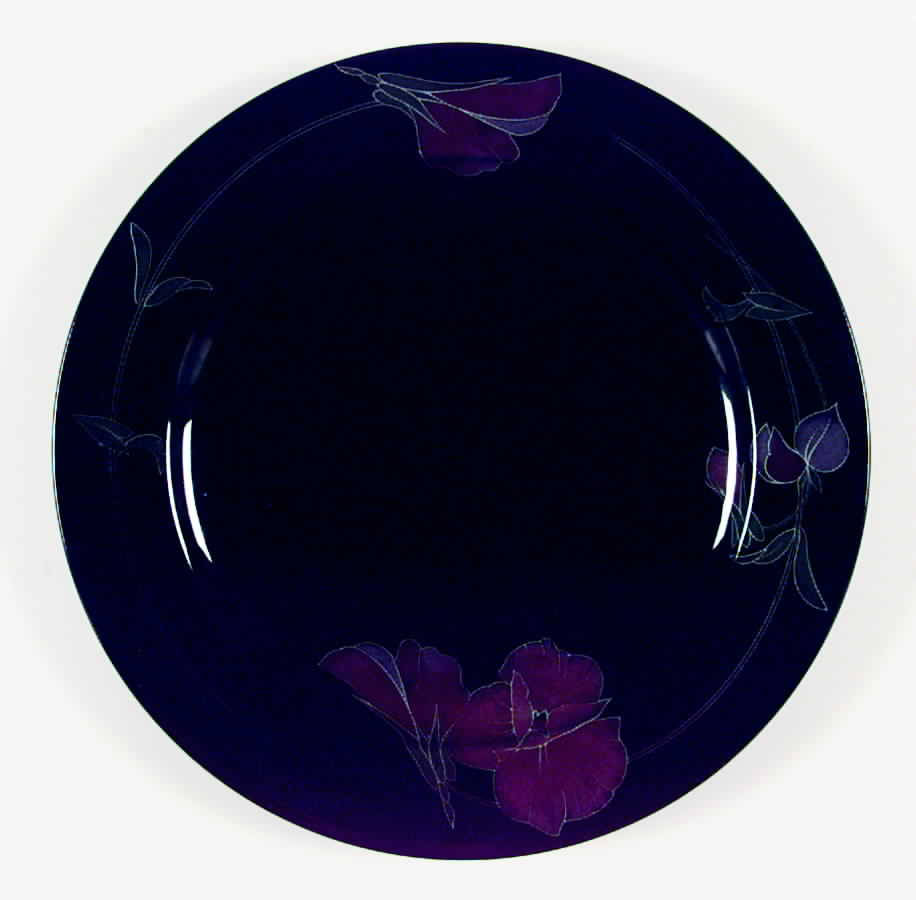 Night Tango Dinner Plate by Mikasa-1
