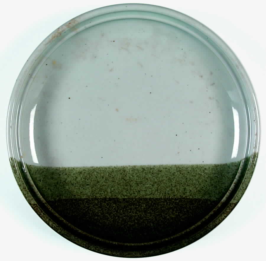 Off Hand Dinner Plate by Mikasa-1